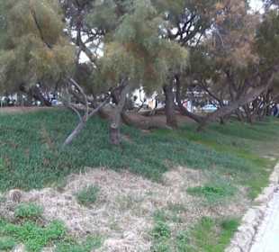 Carretera Del Arenal Balneario
