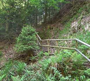 Griesbacher Wasserfälle Bad Griesbach