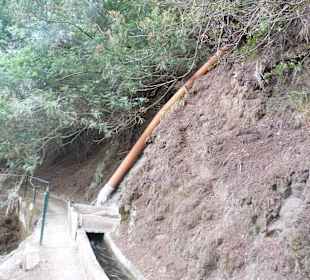 An der Levada do Costelejo