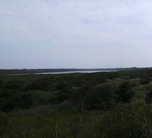 Blick auf den Hammersee von Aussichtsdüne aus