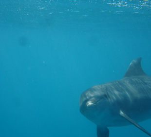 Wunderschöner Ausflug mit SimSim Reisen