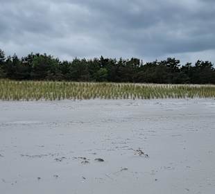 Strand Prerow