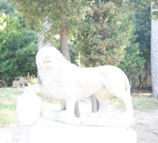 Piazza del Popolo
