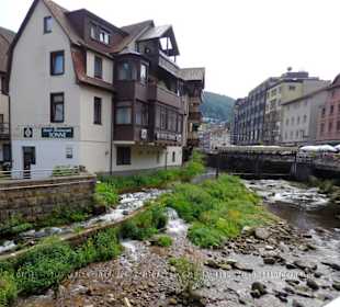 Der Blick am Fluss auf das Hotel Restaurant Sonne.