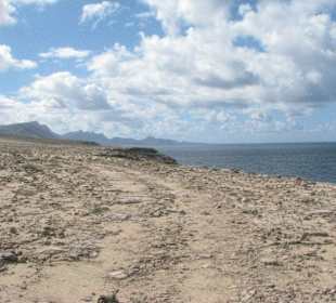 Westküste Fuerteventuras am Istmo de La Pared