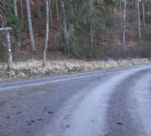 Ochsenweiher Rundweg