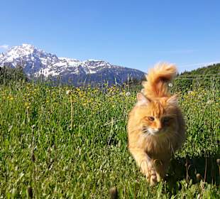 Wandern Berchtesgaden