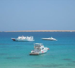 Mahmya
