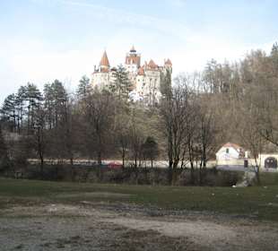 Castelul Bran 