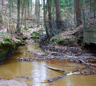 Flußlauf