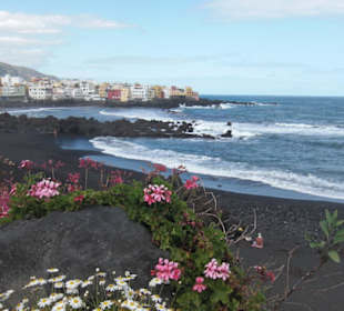 Der Strand Jardin Playa