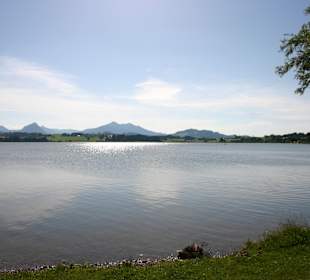 Hopfensee