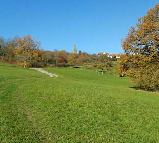 Weg hinauf nach Löffelstelzen