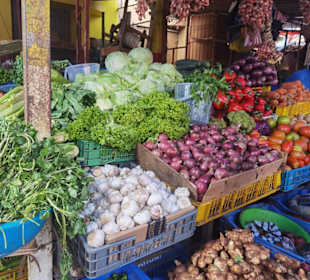 Punta Cana auf Deutsch - einfach schöne Ausflüge