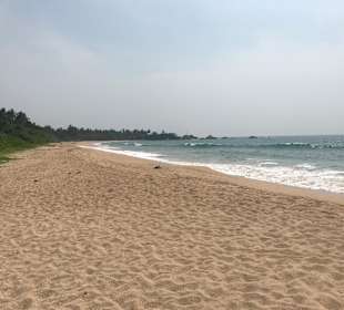 Wandern Balapitiya