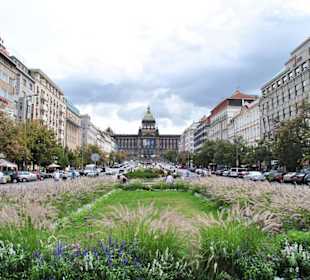 Plac Wacława