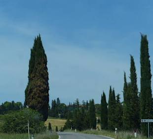 Fahrt durchs Chianti