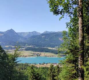 Blick hinunter zum Wolfgangsee