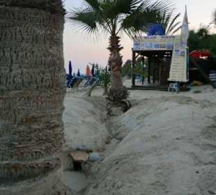 Vergleich erstes Bild