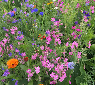 Wandern Friedrichroda