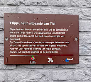 Fruchtfigur-Info