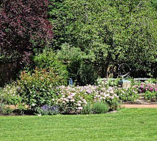 Sommeranfang im Schlossgarten Oldenburg