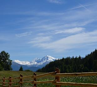 Blick zum Ortler