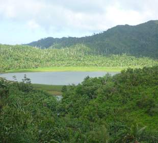 Grand Etang Kratersee
