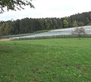 Antoniuskapelle Selmnau