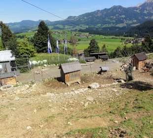 Alpenwildpark 