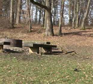 Grillplatz Tellerhecke