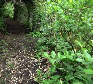 Mezger's Bürgle Park