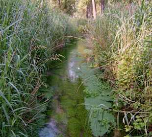 Im Naturschutzgebiet