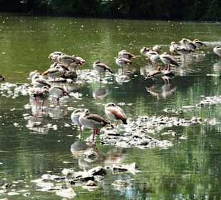 Impressionen vom Echternacher See