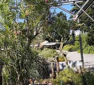 Botanischer Garten 