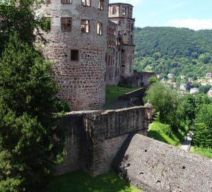 Schloss Heidelberg und Umgebung