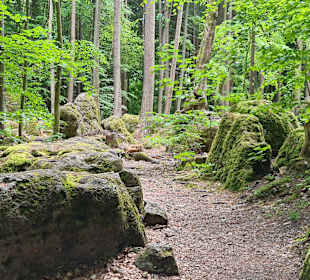 Druidenhain bei Wohlmannsgesees