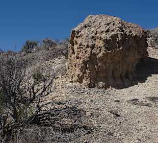 Painted Desert _вид15