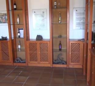 Casa Museo del Campesino