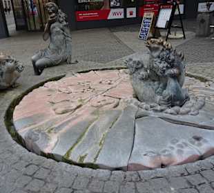 Stadtrundgang Würzburg