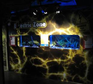 Electric zone