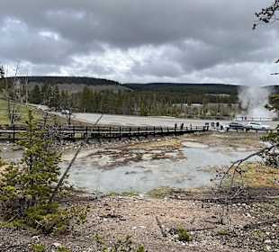 Yellowstone Nationalpark