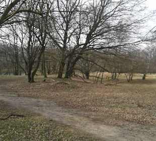 Naturschutzgebiet