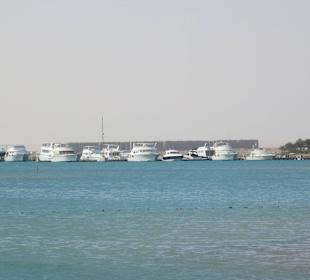 Alte Marina mit Ausflugsbooten