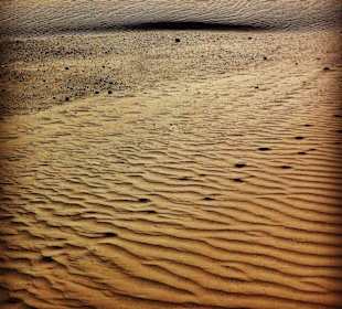 Sahara