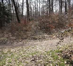 Geologischer Lehrpfad Kirnbachtal