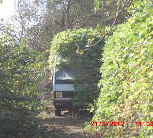 Wann ist der das letzte mal gefahren worden?