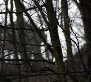 Mit Zoom von unten Aufgenommen