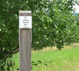 Premiumspazierweg Früchtetrauf-Leisawegle