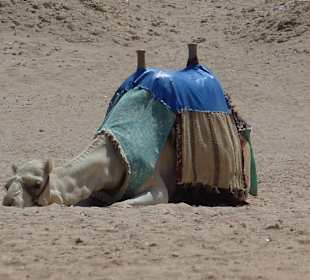 Warten auf Kundschaft